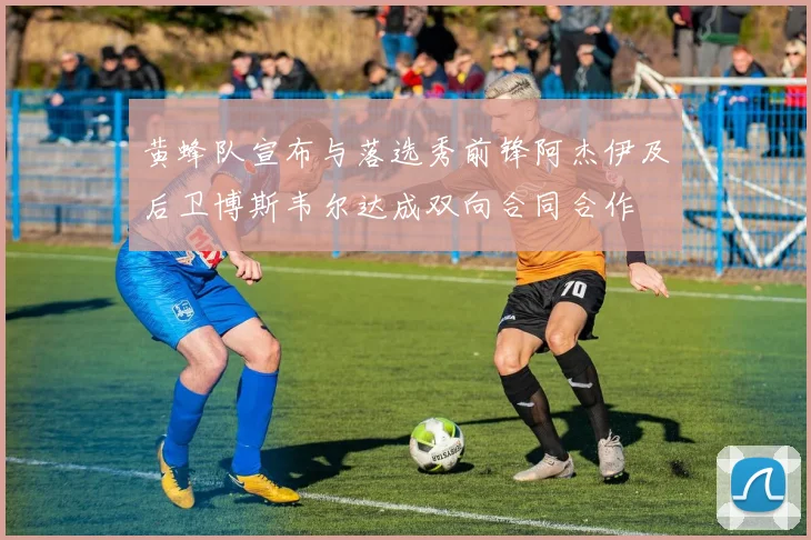 黄蜂队宣布与落选秀前锋阿杰伊及后卫博斯韦尔达成双向合同合作